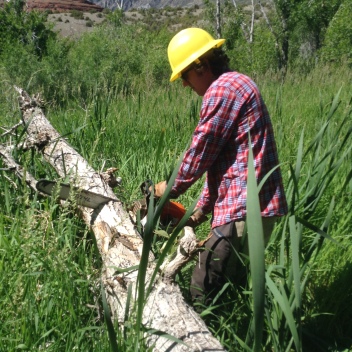Erich working through a log